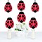 Big Dot of Happiness Happy Little Ladybug - Decorations DIY Baby Shower or Birthday Party Essentials - Set of 20